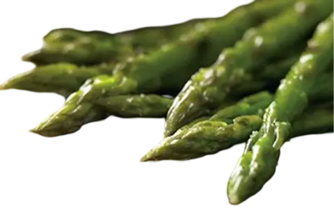 Asparagus
