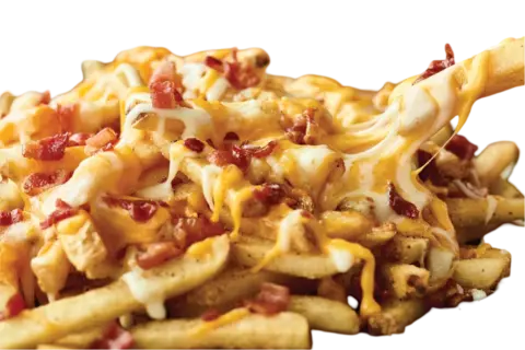 Aussie Cheese Fries